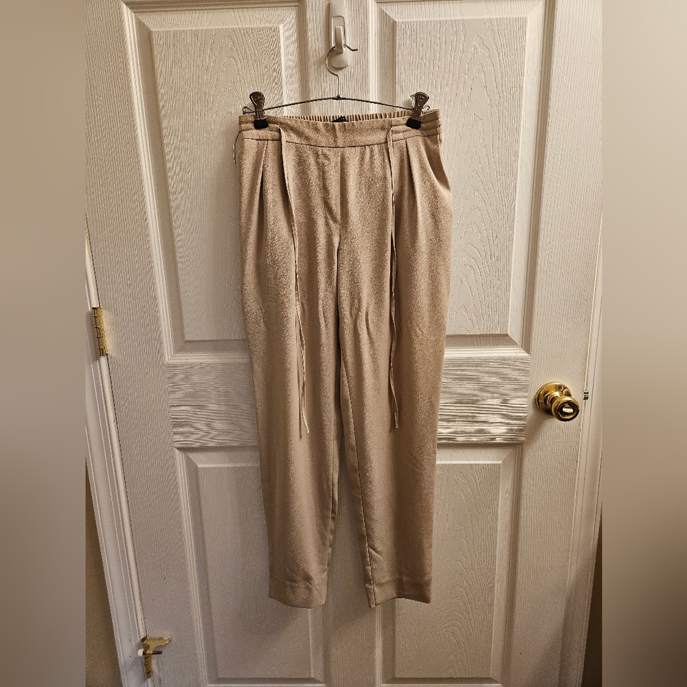 Zara Dress Jogger Pant Tan